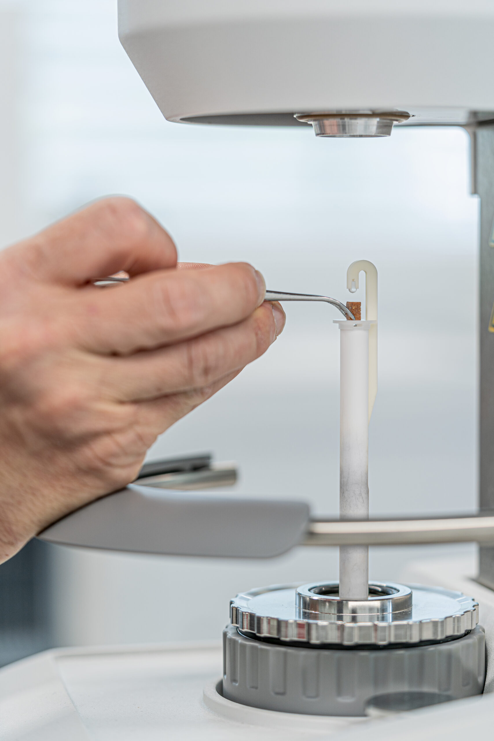 Mettler Toledo, Webinar online: Analiza sorpcji za pomocą analizy termicznej