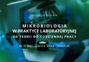 Webinar